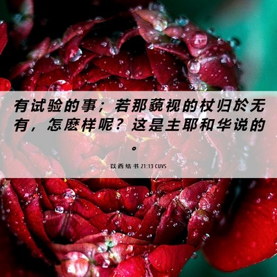 Picture 06 - 以 西 结 书 21:13 CUVS - 有 试 验 的 事 ； 若 那 藐 视 的 杖 - Bible Verse Picture