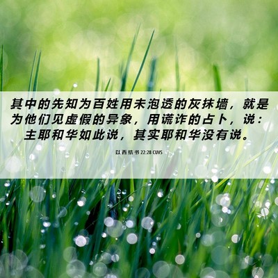 Picture 06 - 以 西 结 书 22:28 CUVS - 其 中 的 先 知 为 百 姓 用 未 泡 透 - Bible Verse Picture