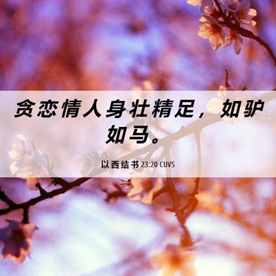 Picture 06 - 以 西 结 书 23:20 CUVS - 贪 恋 情 人 身 壮 精 足 ， 如 驴 如 - Bible Verse Picture