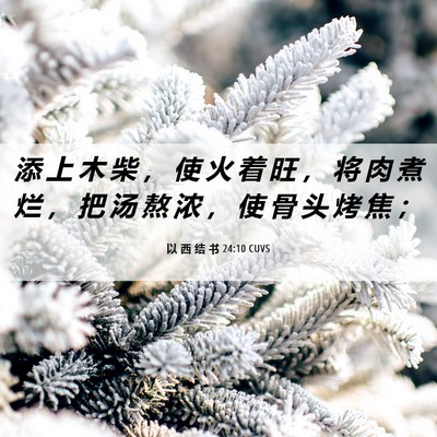 Picture 06 - 以 西 结 书 24:10 CUVS - 添 上 木 柴 ， 使 火 着 旺 ， 将 肉 - Bible Verse Picture