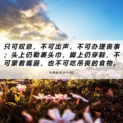 Picture 06 - 以 西 结 书 24:17 CUVS - 只 可 叹 息 ， 不 可 出 声 ， 不 可 - Bible Verse Picture