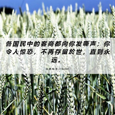 Picture 06 - 以 西 结 书 27:36 CUVS - 各 国 民 中 的 客 商 都 向 你 发 嘶 - Bible Verse Picture