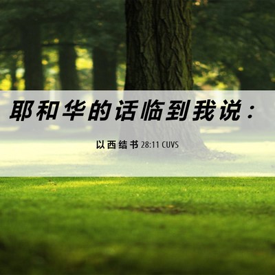 Picture 06 - 以 西 结 书 28:11 CUVS - 耶 和 华 的 话 临 到 我 说 - Bible Verse Picture