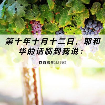 Picture 06 - 以 西 结 书 29:1 CUVS - 第 十 年 十 月 十 二 日 ， 耶 和 华 - Bible Verse Picture