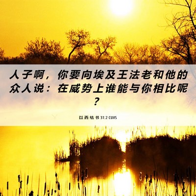 Picture 06 - 以 西 结 书 31:2 CUVS - 人 子 啊 ， 你 要 向 埃 及 王 法 老 - Bible Verse Picture