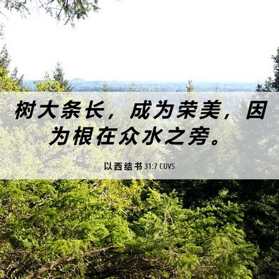Picture 06 - 以 西 结 书 31:7 CUVS - 树 大 条 长 ， 成 为 荣 美 ， 因 为 - Bible Verse Picture