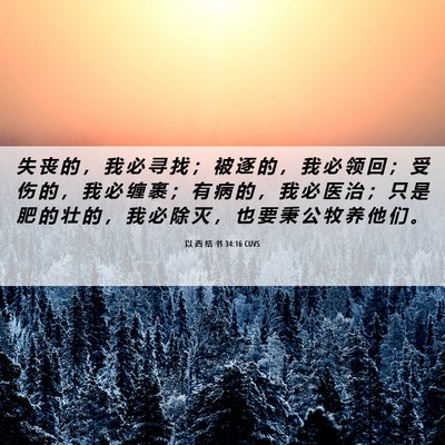 Picture 06 - 以 西 结 书 34:16 CUVS - 失 丧 的 ， 我 必 寻 找 ； 被 逐 的 - Bible Verse Picture