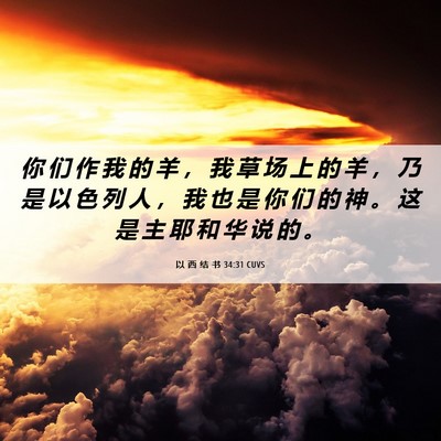 Picture 06 - 以 西 结 书 34:31 CUVS - 你 们 作 我 的 羊 ， 我 草 场 上 的 - Bible Verse Picture