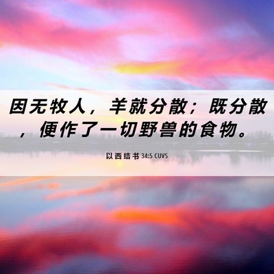 Picture 06 - 以 西 结 书 34:5 CUVS - 因 无 牧 人 ， 羊 就 分 散 ； 既 分 - Bible Verse Picture