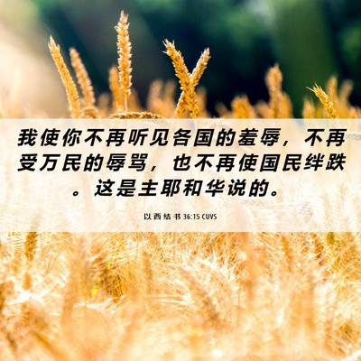 Picture 06 - 以 西 结 书 36:15 CUVS - 我 使 你 不 再 听 见 各 国 的 羞 辱 - Bible Verse Picture