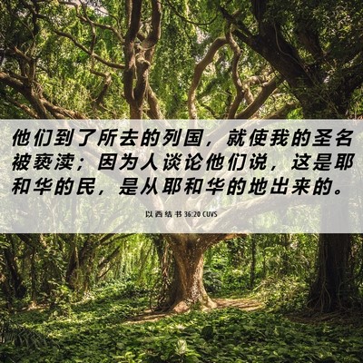 Picture 06 - 以 西 结 书 36:20 CUVS - 他 们 到 了 所 去 的 列 国 ， 就 使 - Bible Verse Picture