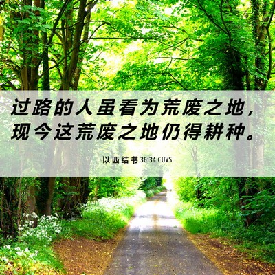 Picture 06 - 以 西 结 书 36:34 CUVS - 过 路 的 人 虽 看 为 荒 废 之 地 ， - Bible Verse Picture