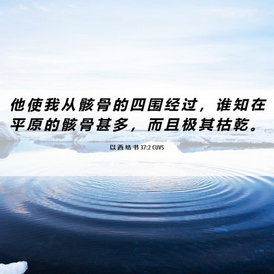 Picture 06 - 以 西 结 书 37:2 CUVS - 他 使 我 从 骸 骨 的 四 围 经 过 ， - Bible Verse Picture