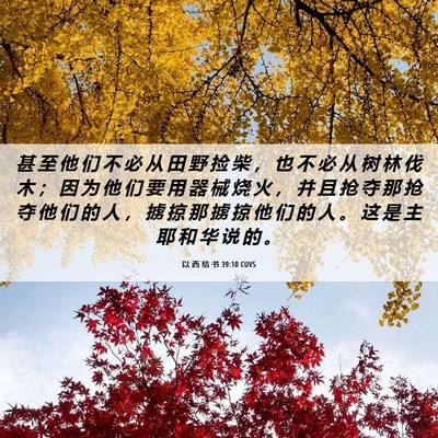 Picture 06 - 以 西 结 书 39:10 CUVS - 甚 至 他 们 不 必 从 田 野 捡 柴 ， - Bible Verse Picture