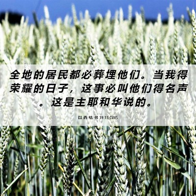 Picture 06 - 以 西 结 书 39:13 CUVS - 全 地 的 居 民 都 必 葬 埋 他 们 。 - Bible Verse Picture