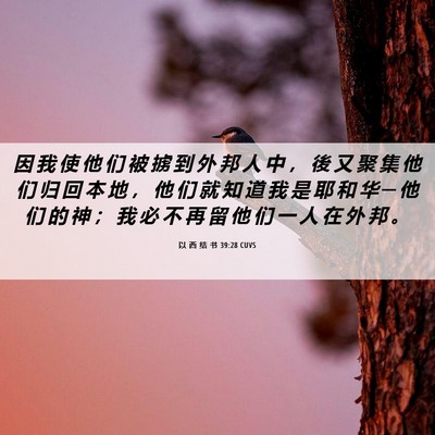 Picture 06 - 以 西 结 书 39:28 CUVS - 因 我 使 他 们 被 掳 到 外 邦 人 中 - Bible Verse Picture