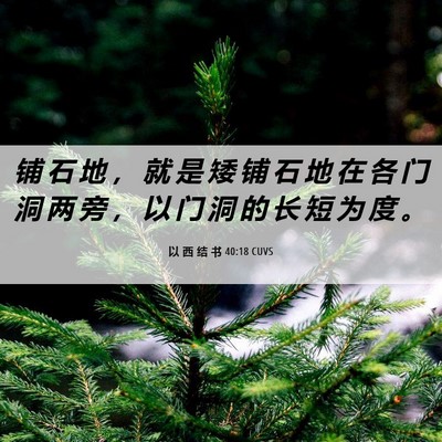 Picture 06 - 以 西 结 书 40:18 CUVS - 铺 石 地 ， 就 是 矮 铺 石 地 在 各 - Bible Verse Picture