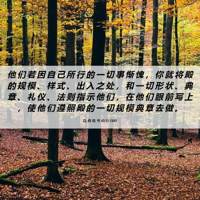 Picture 06 - 以 西 结 书 43:11 CUVS - 他 们 若 因 自 己 所 行 的 一 切 事 - Bible Verse Picture