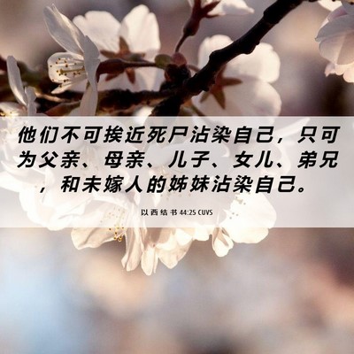 Picture 06 - 以 西 结 书 44:25 CUVS - 他 们 不 可 挨 近 死 尸 沾 染 自 己 - Bible Verse Picture