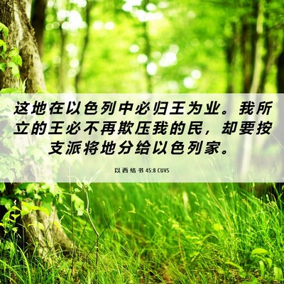 Picture 06 - 以 西 结 书 45:8 CUVS - 这 地 在 以 色 列 中 必 归 王 为 业 - Bible Verse Picture