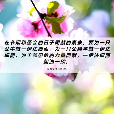 Picture 06 - 以 西 结 书 46:11 CUVS - 在 节 期 和 圣 会 的 日 子 同 献 的 - Bible Verse Picture