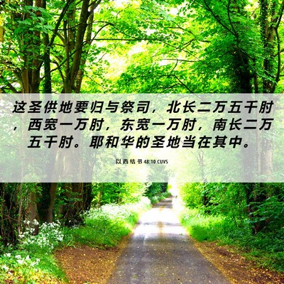 Picture 06 - 以 西 结 书 48:10 CUVS - 这 圣 供 地 要 归 与 祭 司 ， 北 长 - Bible Verse Picture