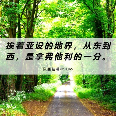 Picture 06 - 以 西 结 书 48:3 CUVS - 挨 着 亚 设 的 地 界 ， 从 东 到 西 - Bible Verse Picture