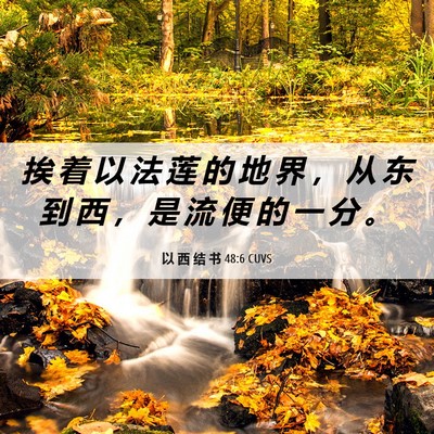 Picture 06 - 以 西 结 书 48:6 CUVS - 挨 着 以 法 莲 的 地 界 ， 从 东 到 - Bible Verse Picture
