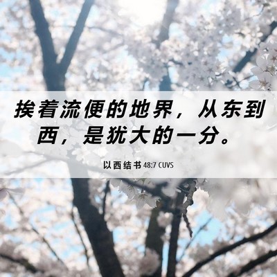 Picture 06 - 以 西 结 书 48:7 CUVS - 挨 着 流 便 的 地 界 ， 从 东 到 西 - Bible Verse Picture