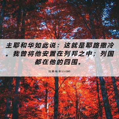 Picture 06 - 以 西 结 书 5:5 CUVS - 主 耶 和 华 如 此 说 ： 这 就 是 耶 - Bible Verse Picture