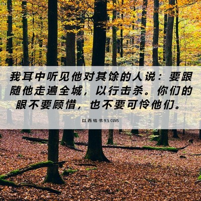 Picture 06 - 以 西 结 书 9:5 CUVS - 我 耳 中 听 见 他 对 其 馀 的 人 说 - Bible Verse Picture