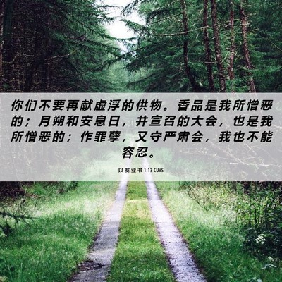 Picture 06 - 以 赛 亚 书 1:13 CUVS - 你 们 不 要 再 献 虚 浮 的 供 物 。 - Bible Verse Picture