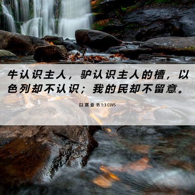 Picture 06 - 以 赛 亚 书 1:3 CUVS - 牛 认 识 主 人 ， 驴 认 识 主 人 的 - Bible Verse Picture