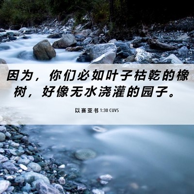 Picture 06 - 以 赛 亚 书 1:30 CUVS - 因 为 ， 你 们 必 如 叶 子 枯 乾 的 - Bible Verse Picture