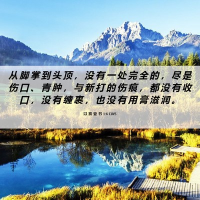 Picture 06 - 以 赛 亚 书 1:6 CUVS - 从 脚 掌 到 头 顶 ， 没 有 一 处 完 - Bible Verse Picture