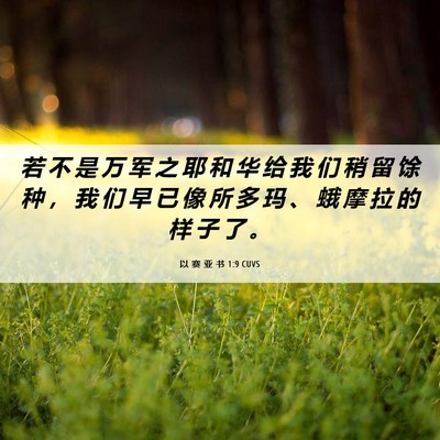 Picture 06 - 以 赛 亚 书 1:9 CUVS - 若 不 是 万 军 之 耶 和 华 给 我 们 - Bible Verse Picture