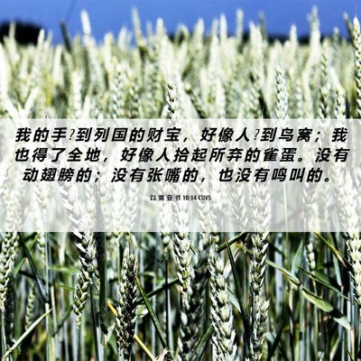 Picture 06 - 以 赛 亚 书 10:14 CUVS - 我 的 手 ? 到 列 国 的 财 宝 ， 好 像 - Bible Verse Picture
