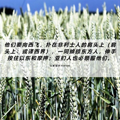 Picture 06 - 以 赛 亚 书 11:14 CUVS - 他 们 要 向 西 飞 ， 扑 在 非 利 士 - Bible Verse Picture