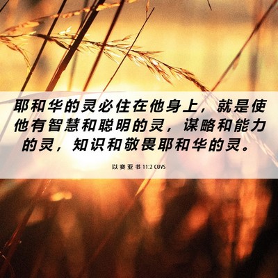 Picture 06 - 以 赛 亚 书 11:2 CUVS - 耶 和 华 的 灵 必 住 在 他 身 上 ， - Bible Verse Picture