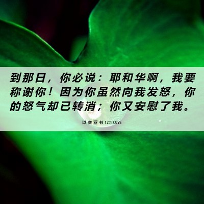 Picture 06 - 以 赛 亚 书 12:1 CUVS - 到 那 日 ， 你 必 说 ： 耶 和 华 啊 - Bible Verse Picture