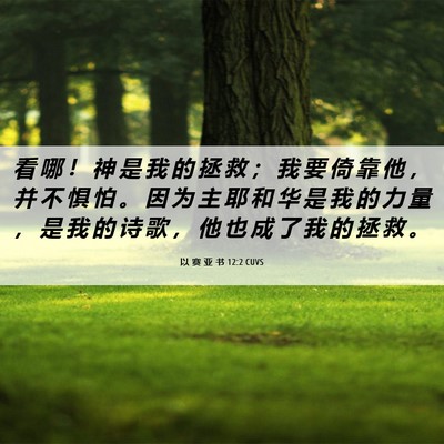 Picture 06 - 以 赛 亚 书 12:2 CUVS - 看 哪 ！ 神 是 我 的 拯 救 ； 我 要 - Bible Verse Picture