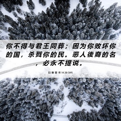 Picture 06 - 以 赛 亚 书 14:20 CUVS - 你 不 得 与 君 王 同 葬 ； 因 为 你 - Bible Verse Picture