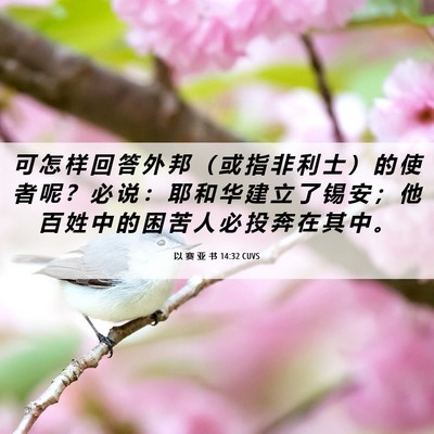 Picture 06 - 以 赛 亚 书 14:32 CUVS - 可 怎 样 回 答 外 邦 （ 或 指 非 利 - Bible Verse Picture