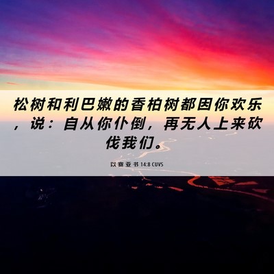 Picture 06 - 以 赛 亚 书 14:8 CUVS - 松 树 和 利 巴 嫩 的 香 柏 树 都 因 - Bible Verse Picture