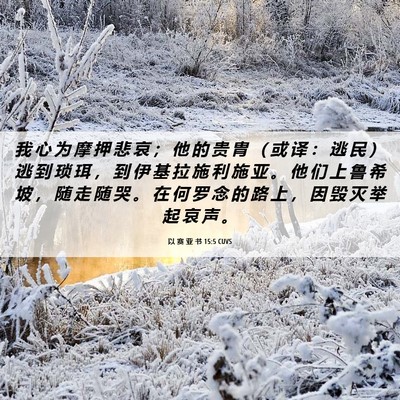 Picture 06 - 以 赛 亚 书 15:5 CUVS - 我 心 为 摩 押 悲 哀 ； 他 的 贵 胄 - Bible Verse Picture