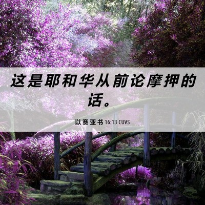 Picture 06 - 以 赛 亚 书 16:13 CUVS - 这 是 耶 和 华 从 前 论 摩 押 的 话 - Bible Verse Picture