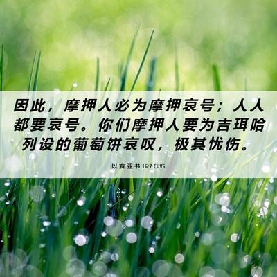Picture 06 - 以 赛 亚 书 16:7 CUVS - 因 此 ， 摩 押 人 必 为 摩 押 哀 号 - Bible Verse Picture