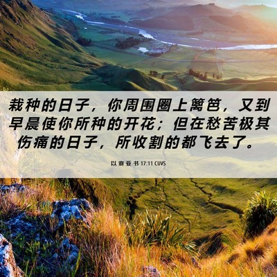 Picture 06 - 以 赛 亚 书 17:11 CUVS - 栽 种 的 日 子 ， 你 周 围 圈 上 篱 - Bible Verse Picture