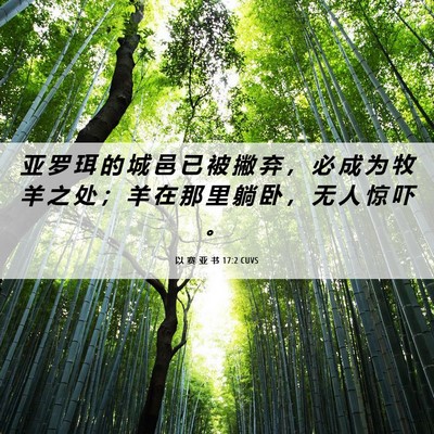 Picture 06 - 以 赛 亚 书 17:2 CUVS - 亚 罗 珥 的 城 邑 已 被 撇 弃 ， 必 - Bible Verse Picture