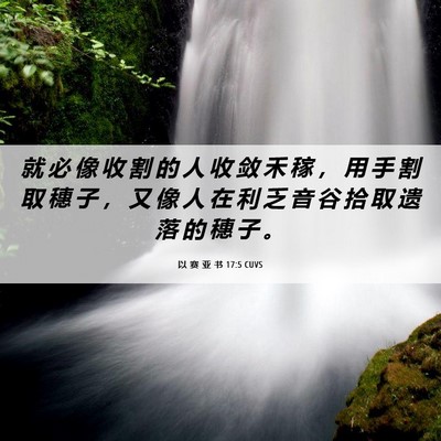 Picture 06 - 以 赛 亚 书 17:5 CUVS - 就 必 像 收 割 的 人 收 敛 禾 稼 ， - Bible Verse Picture